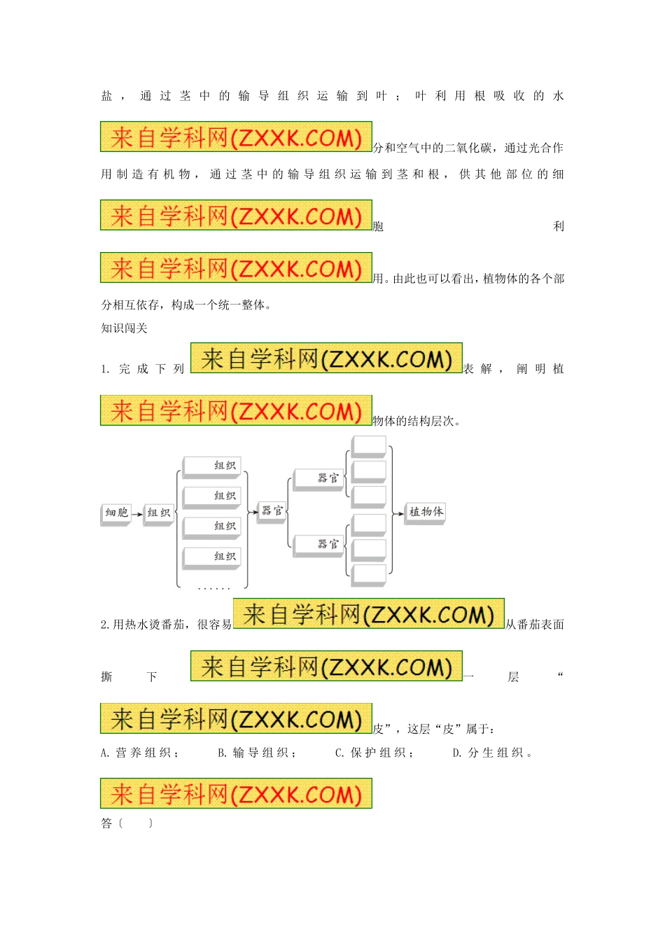 植物体的结构层次 习题5 含答案.doc_第2页