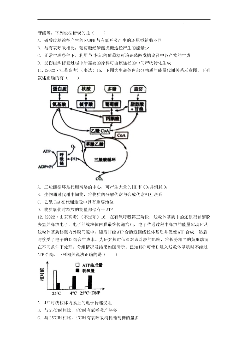 专题05呼吸作用（原卷版） .docx_第3页