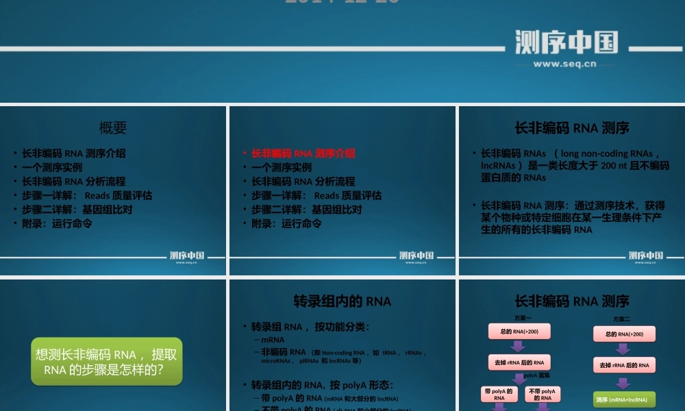 转录组实战讲解之测序质量评估和Reads回贴(1).pptx