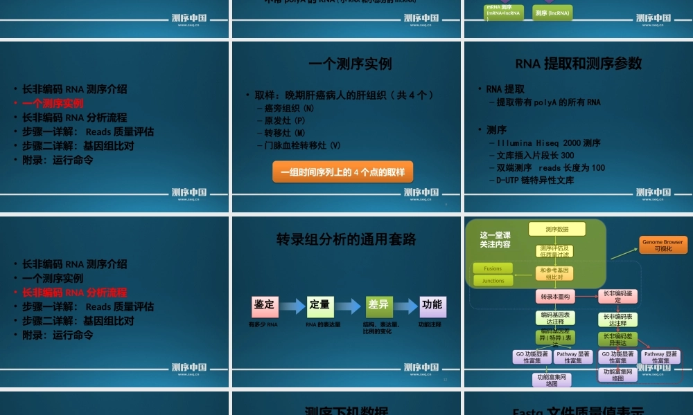 转录组实战讲解之测序质量评估和Reads回贴(1).pptx