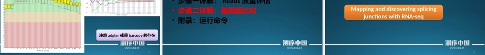 转录组实战讲解之测序质量评估和Reads回贴(1).pptx