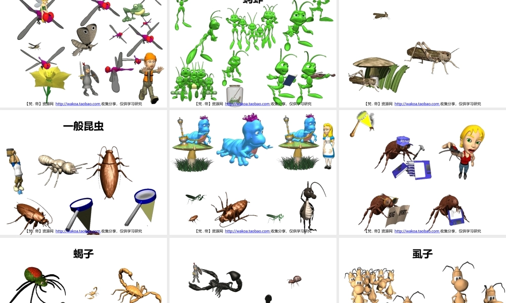 立体GIF大全07动蚁蜂蝶蚂蚱飞虫蝎虱蚓.pptx