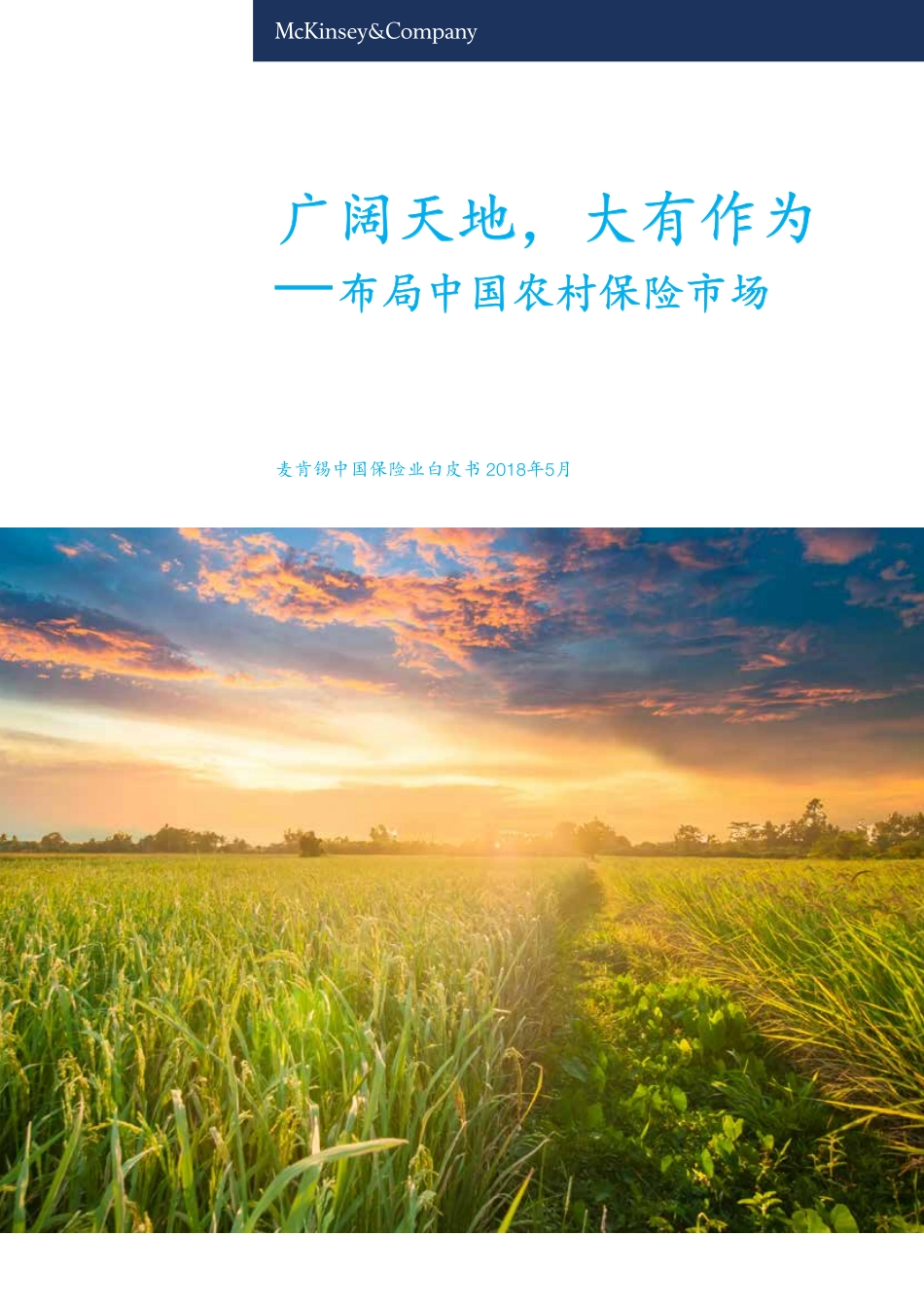 麦肯锡_2018_广阔天地-大有作为-——布局中国农村保险市场.pdf_第1页