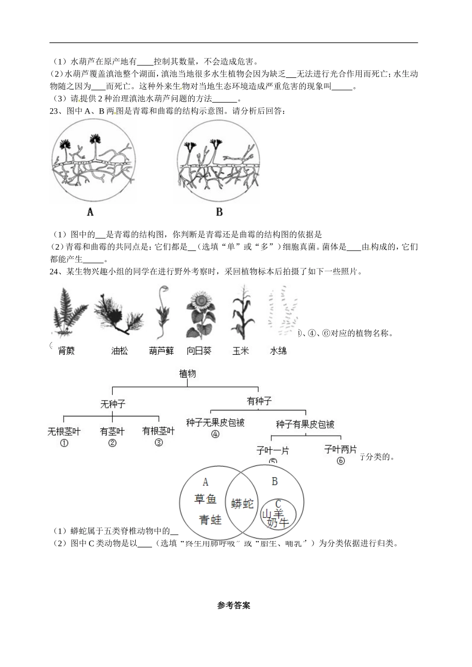综合测试题五.doc_第3页