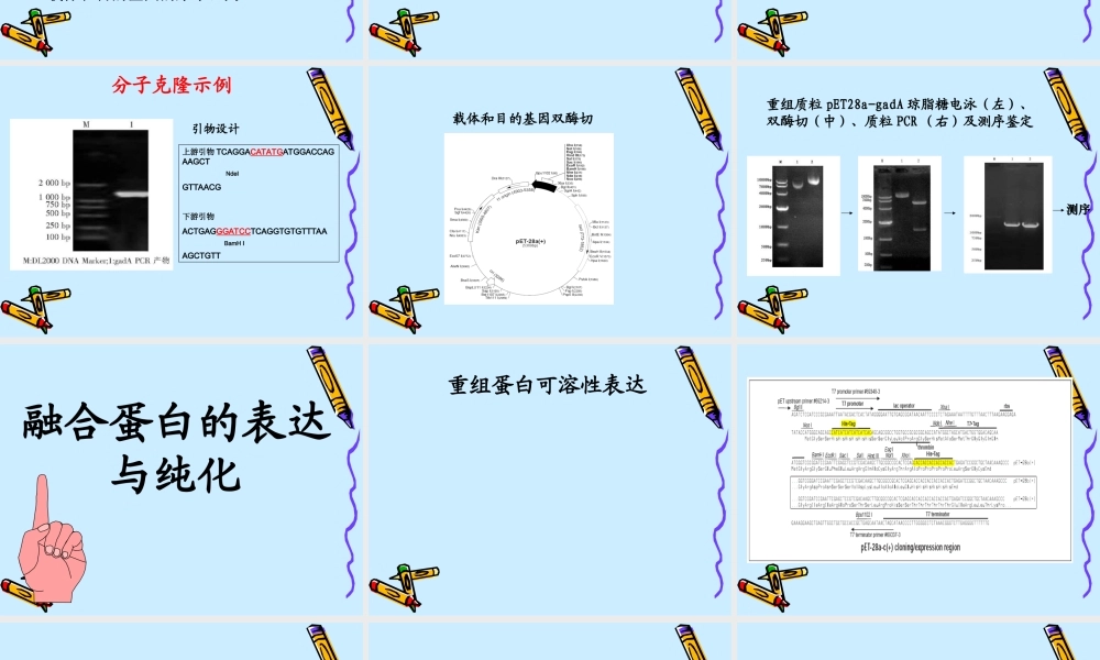 蛋白纯化[公众微信号：bioworlde].ppt