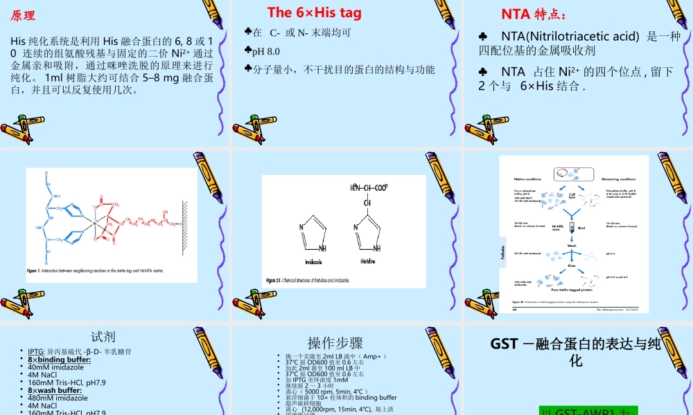 蛋白纯化[公众微信号：bioworlde].ppt