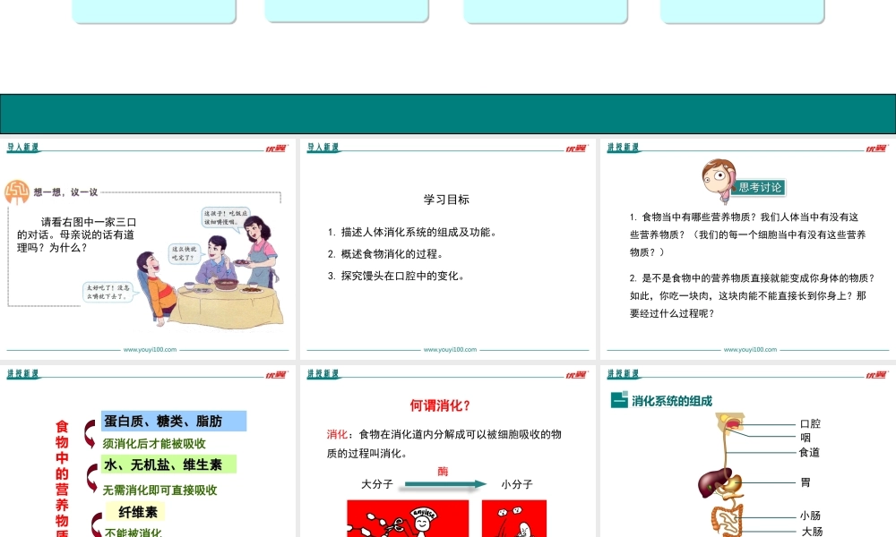 第1课时 人体的消化系统 .ppt