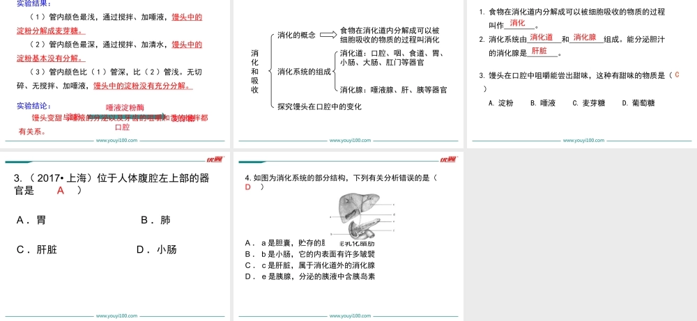 第1课时 人体的消化系统 .ppt