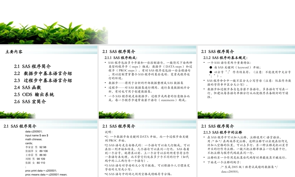 第2章_SAS编程简介.ppt