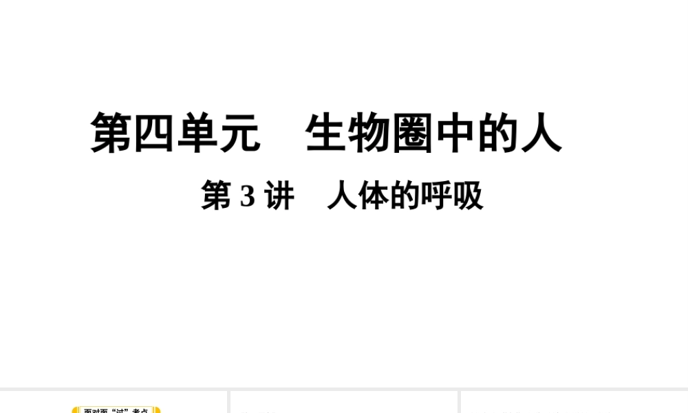 第3讲人体的呼吸.ppt