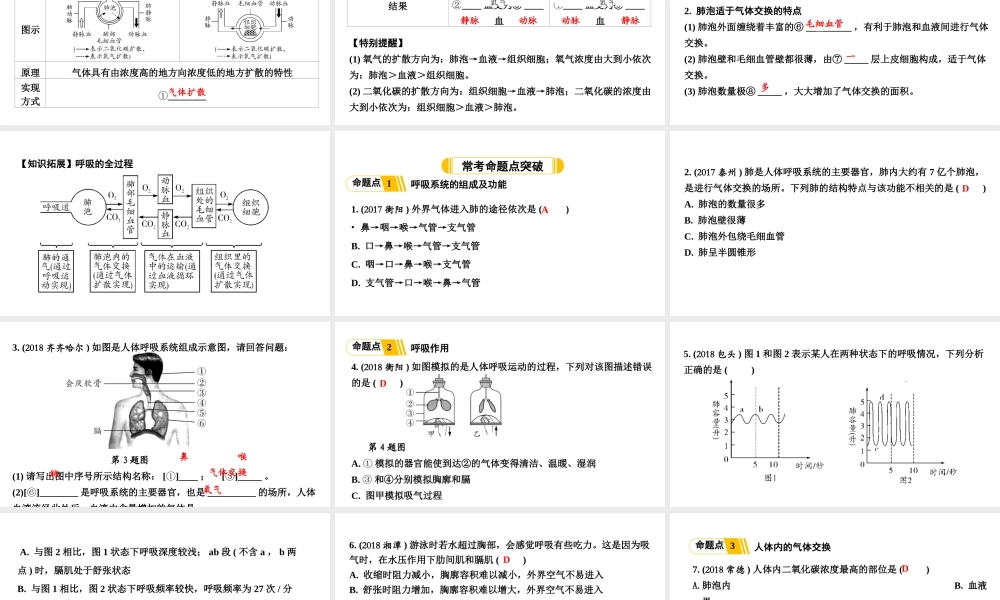 第3讲人体的呼吸.ppt