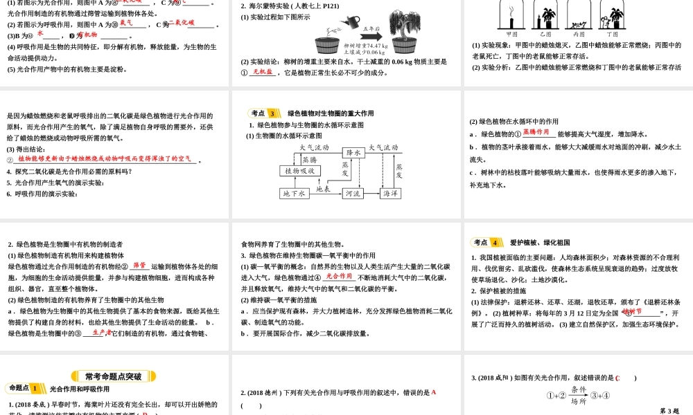 第4讲植物的光合作用、呼吸作用与植物在生物圈中的作用.ppt