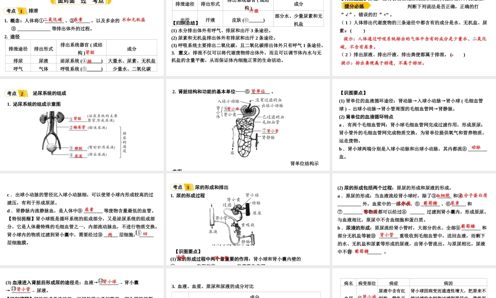 第6讲人体内废物的排出.ppt