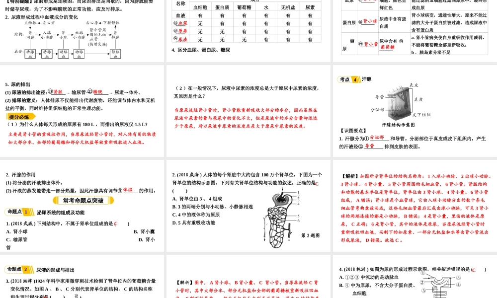 第6讲人体内废物的排出.ppt