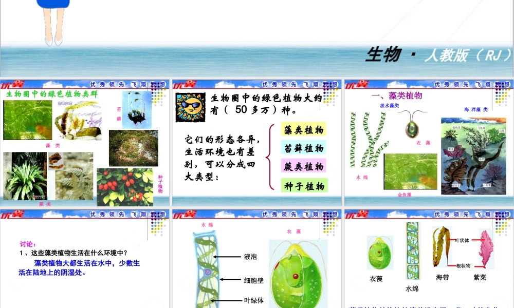 第一节 藻类、苔藓和蕨类植物.ppt