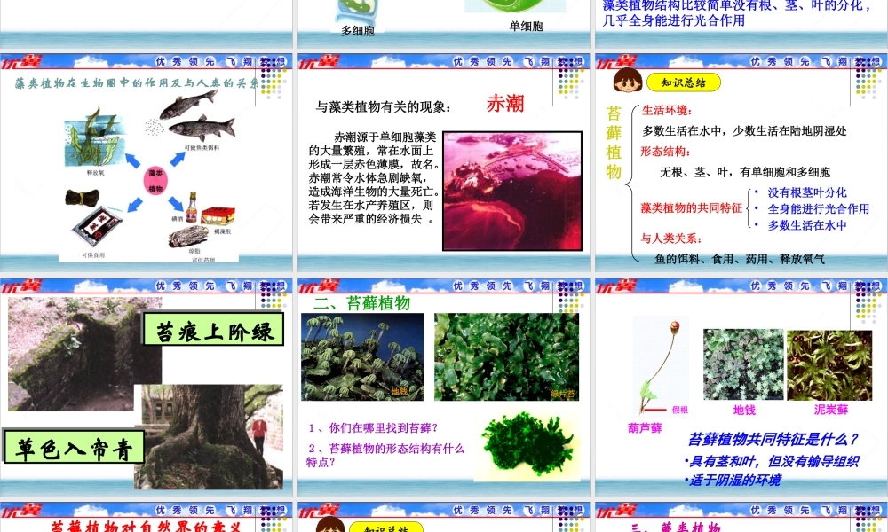 第一节 藻类、苔藓和蕨类植物.ppt
