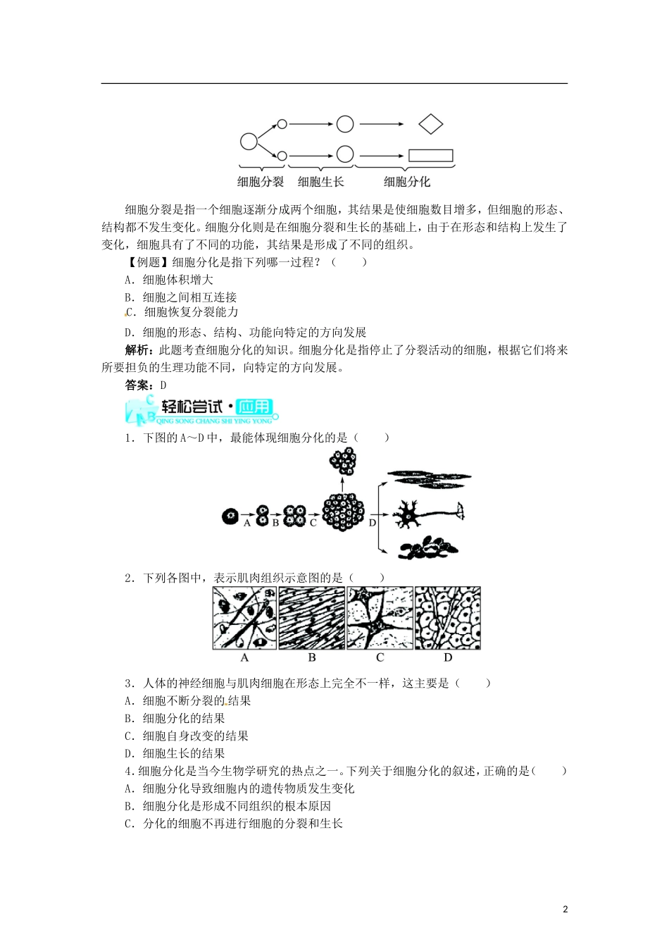 动物体的结构层次 习题3 含答案.doc_第2页