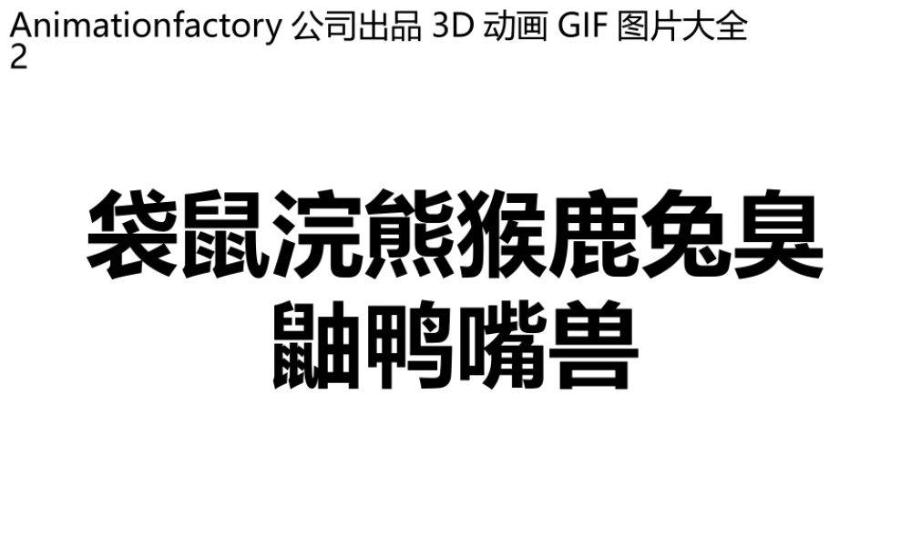 立体GIF大全02动袋鼠浣熊猴鹿兔臭鼬鸭嘴兽.pptx