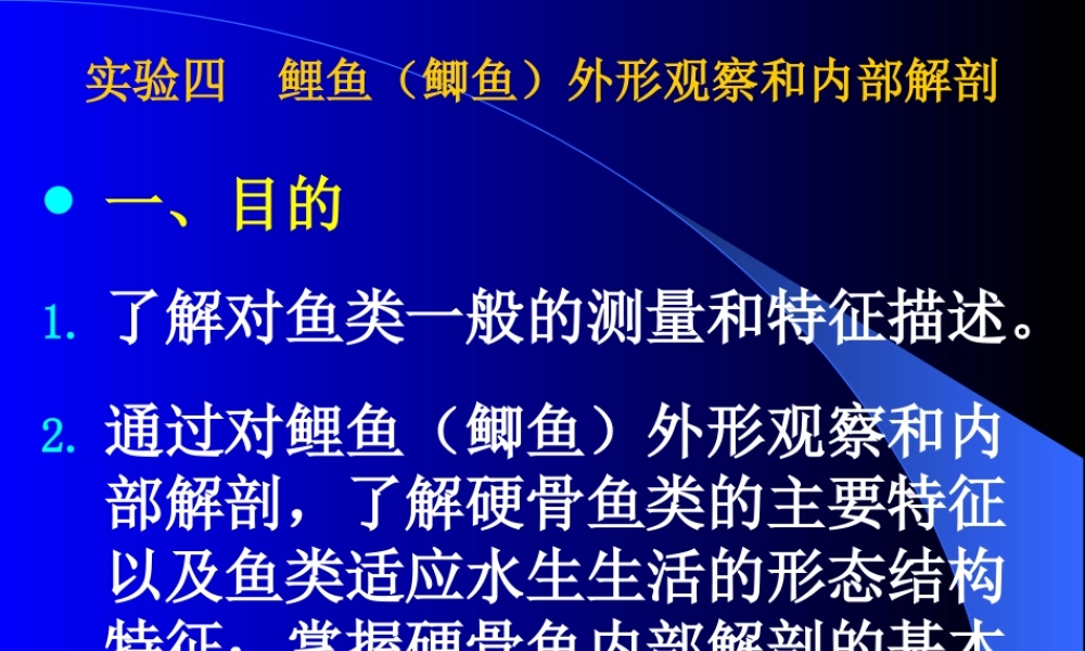 普通生物学试验四 鱼解剖.ppt
