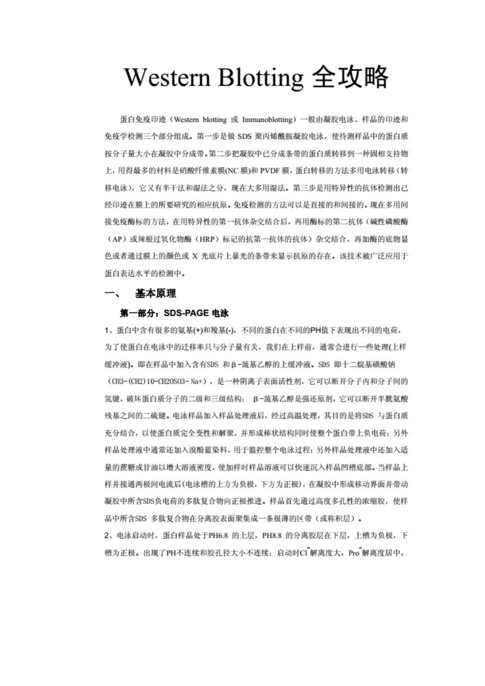 Western Blotting 全攻略-原理步骤.docx_第1页