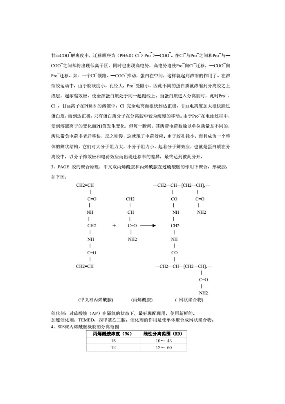 Western Blotting 全攻略-原理步骤.docx_第2页
