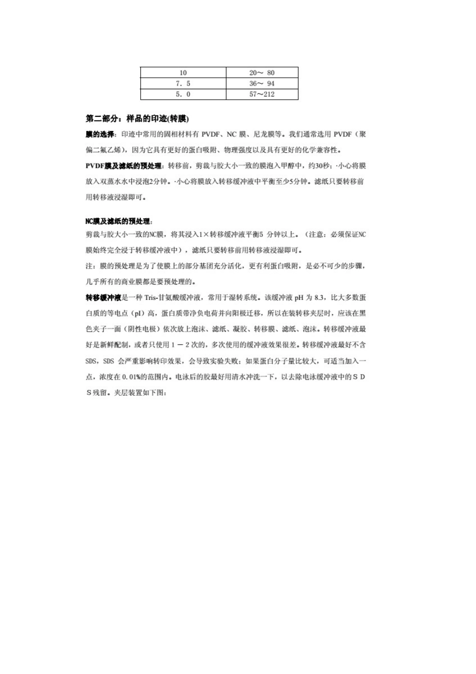 Western Blotting 全攻略-原理步骤.docx_第3页