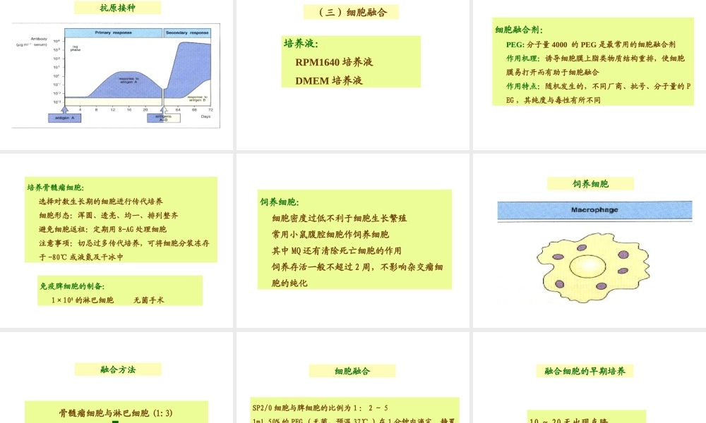 第04章单克隆抗体(1).ppt