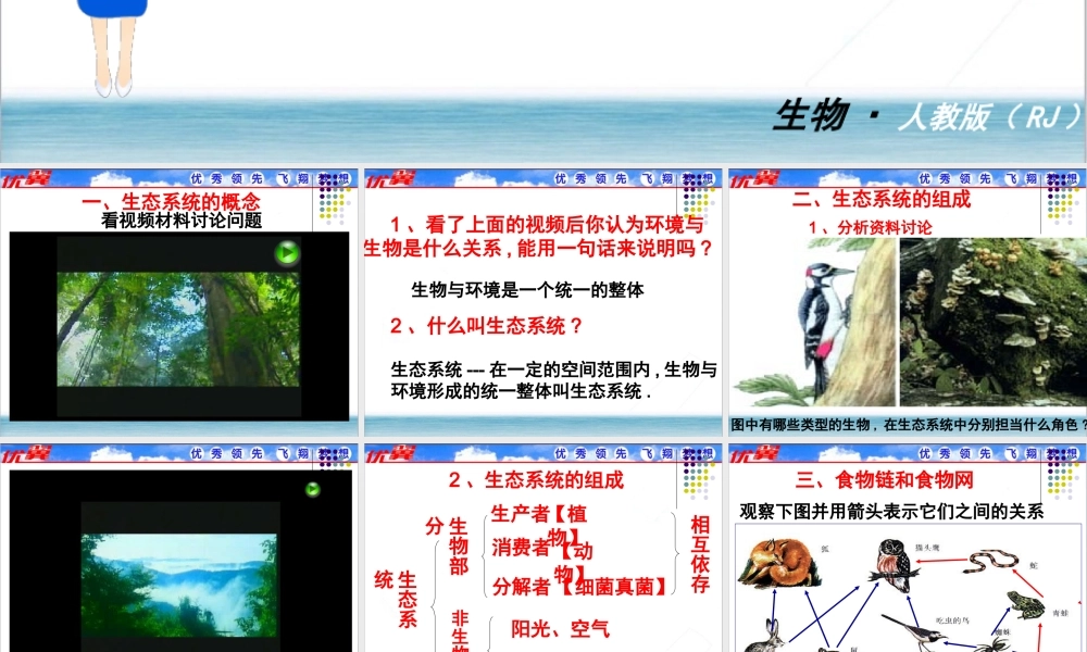 第二节生物与环境组成生态系统课件 2.ppt