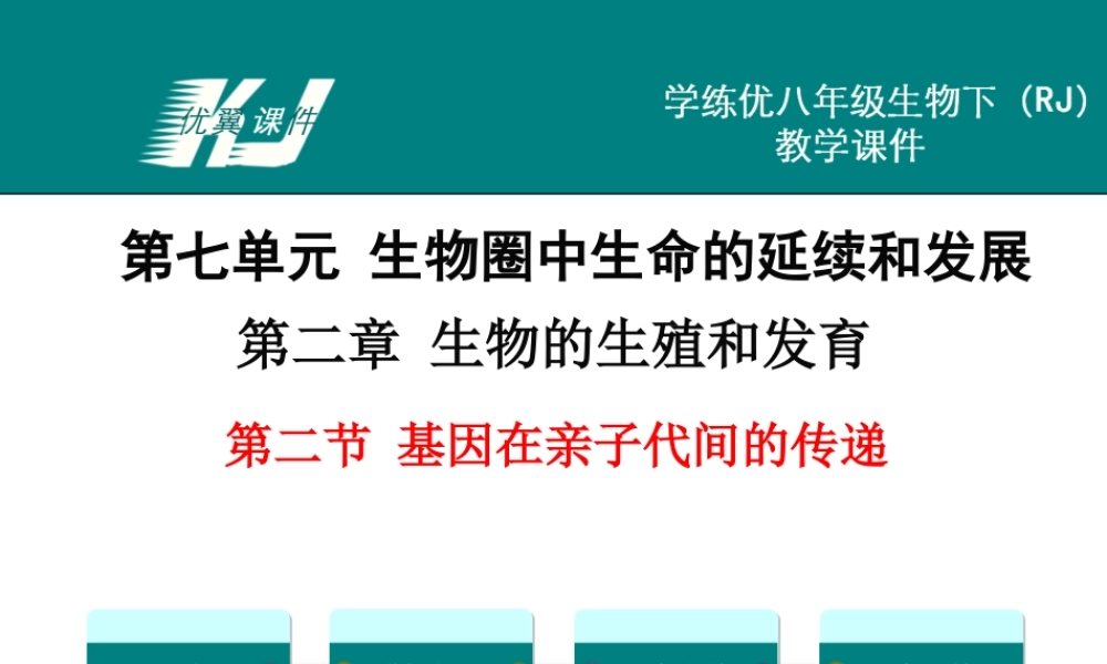 第二节 基因在亲子代间的传递.ppt