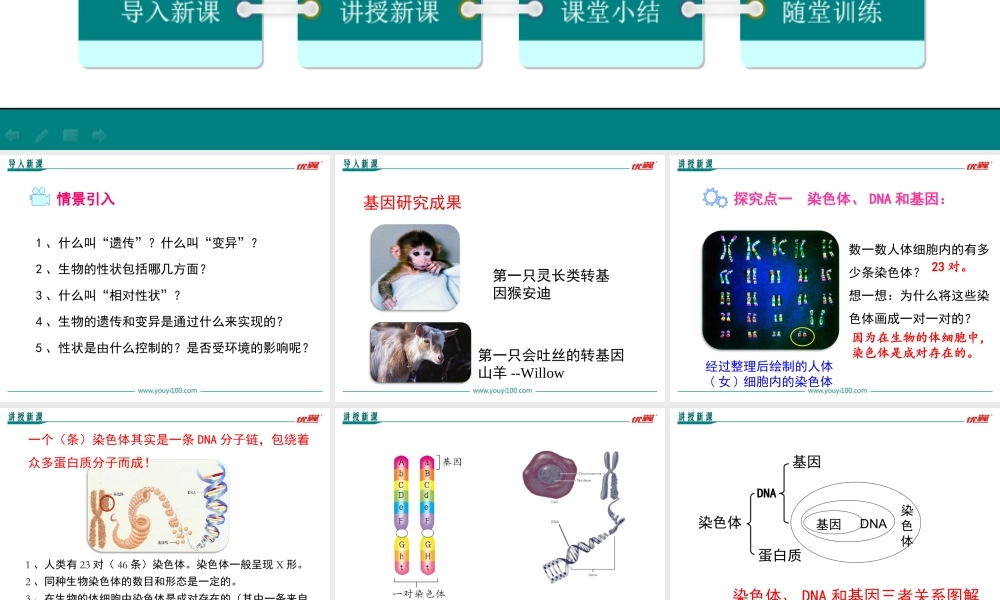 第二节 基因在亲子代间的传递.ppt