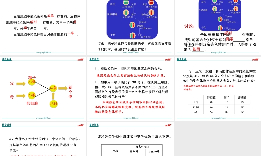 第二节 基因在亲子代间的传递.ppt