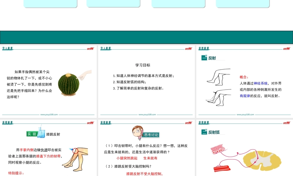 第三节 神经调节的基本方式.ppt