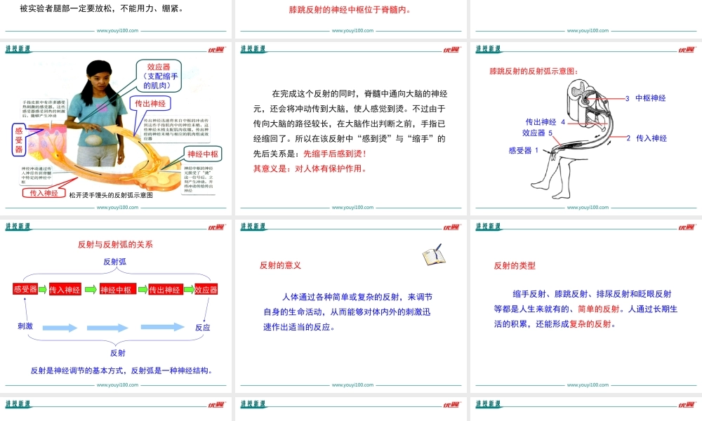 第三节 神经调节的基本方式.ppt