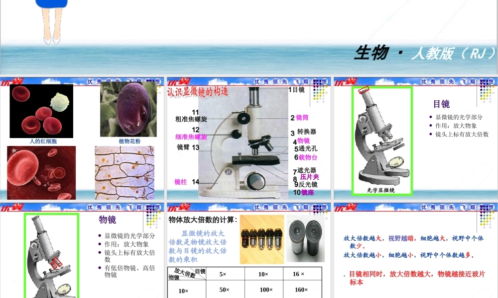 第一节练习使用显微镜.ppt