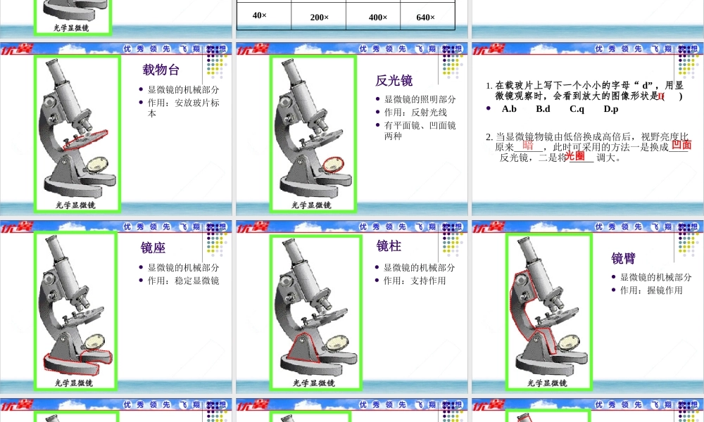 第一节练习使用显微镜.ppt