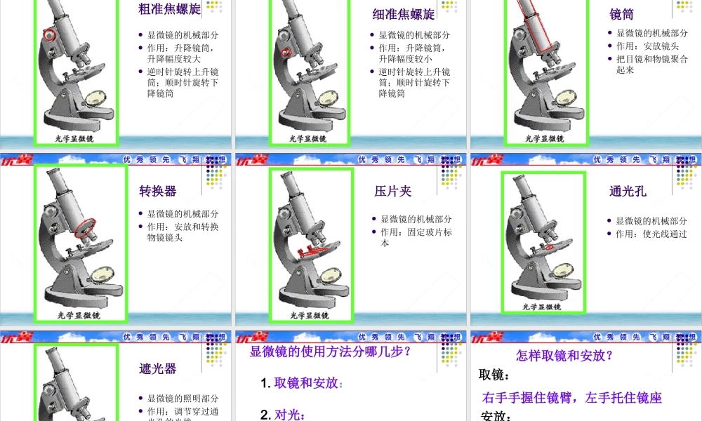 第一节练习使用显微镜.ppt