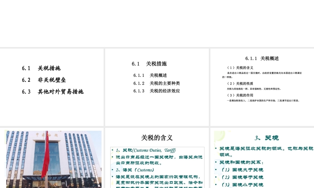 第6章对外贸易政策与理论.ppt