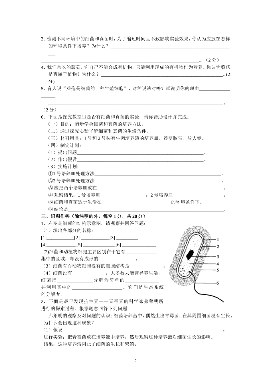 第4章分布广泛的细菌和真菌.doc_第2页