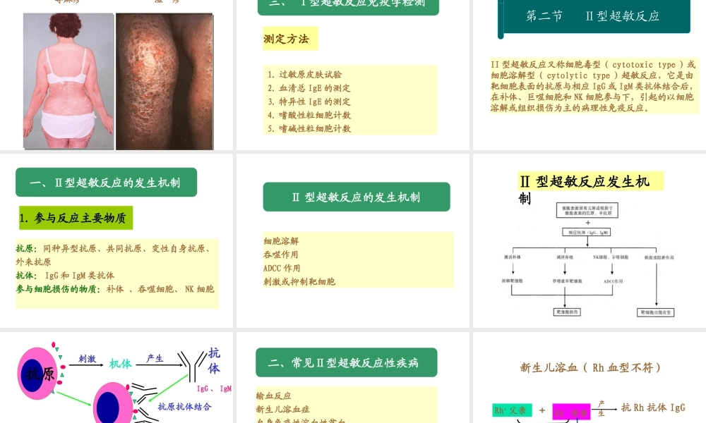 第23章超敏反应(1).ppt