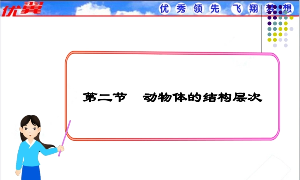 第二节 动物体的结构层次.ppt