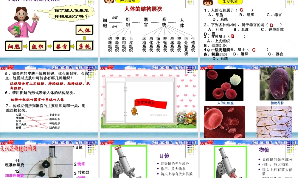 第二节 动物体的结构层次.ppt