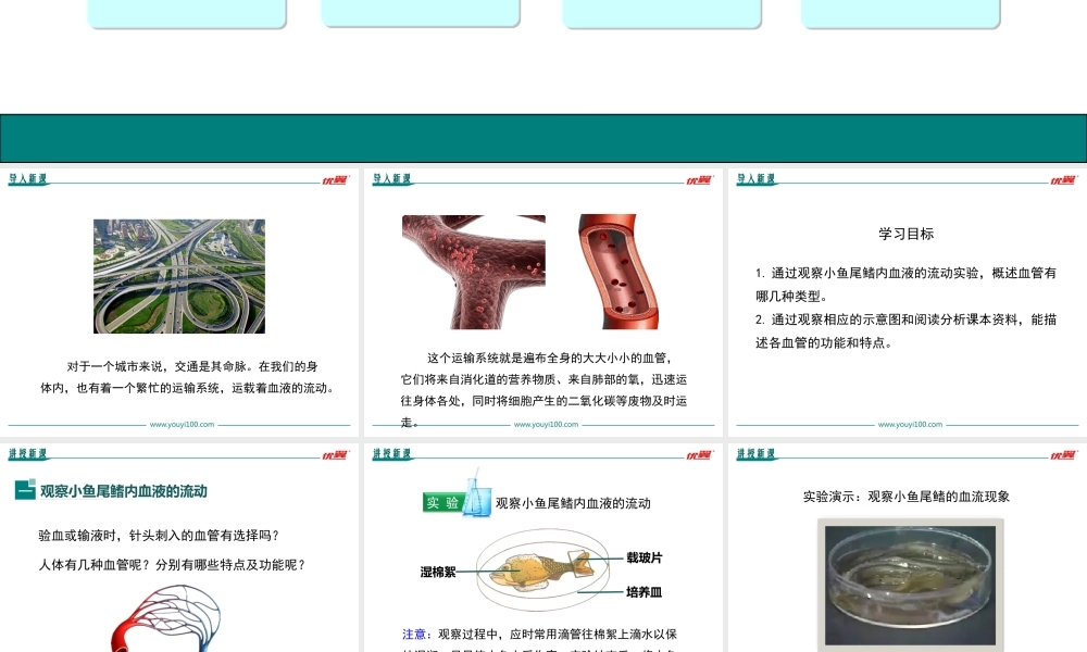 第二节 血流的管道——血管.ppt