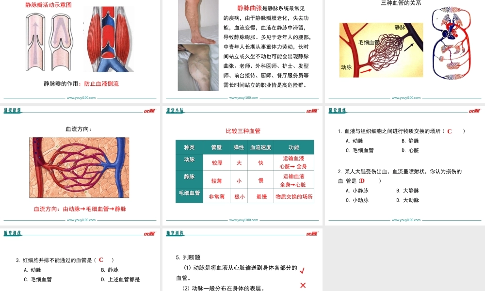 第二节 血流的管道——血管.ppt