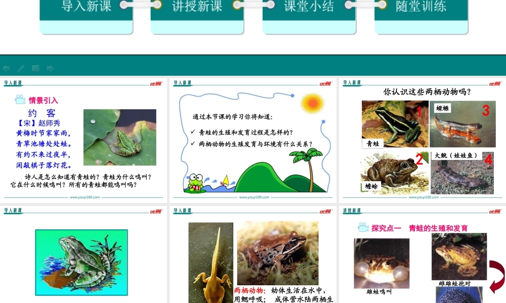 第三节 两栖动物的生殖和发育.ppt