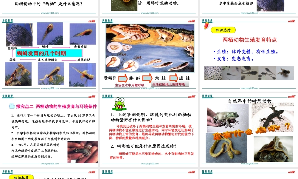 第三节 两栖动物的生殖和发育.ppt