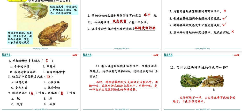 第三节 两栖动物的生殖和发育.ppt