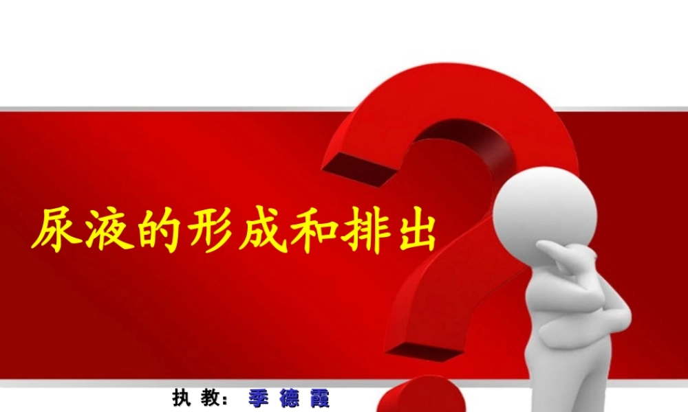 00.17生物课件：《尿液的形成和排出》公开课.ppt