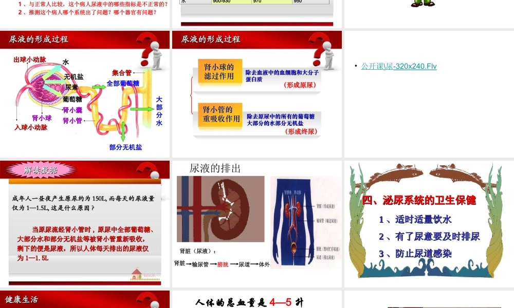 00.17生物课件：《尿液的形成和排出》公开课.ppt