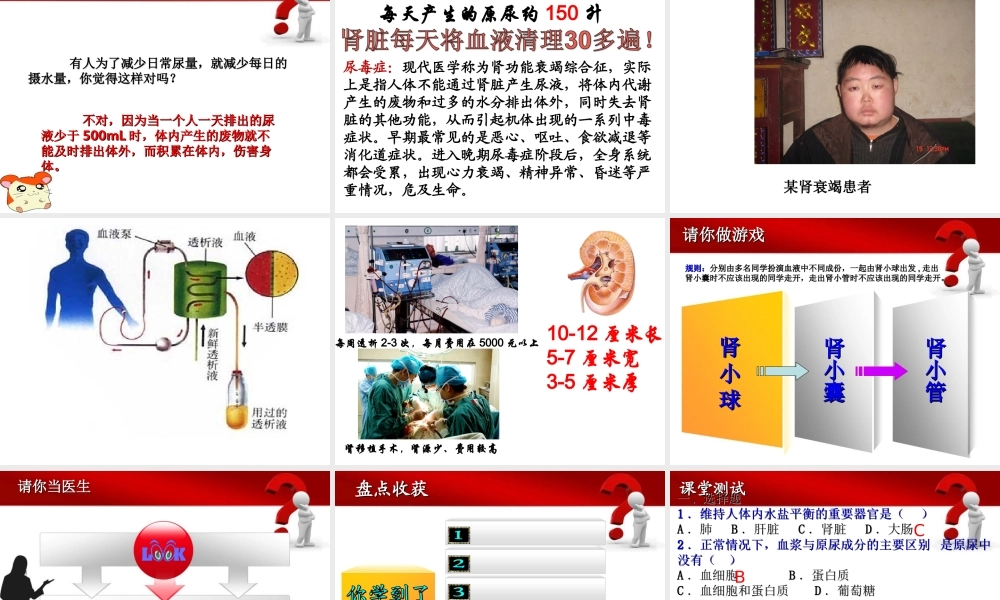 00.17生物课件：《尿液的形成和排出》公开课.ppt