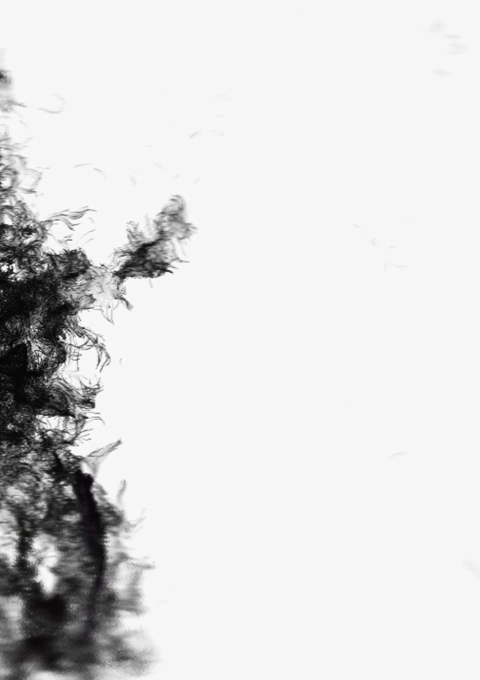 今日头条：中国文化综艺白皮书(50页).pdf_第2页